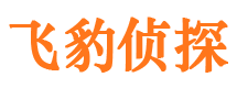 红岗侦探公司